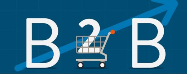 e-commerce B2B